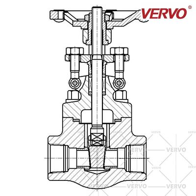 Aluminum Bronze Gate Valve Threaded End B62 C95500 DN20 API602